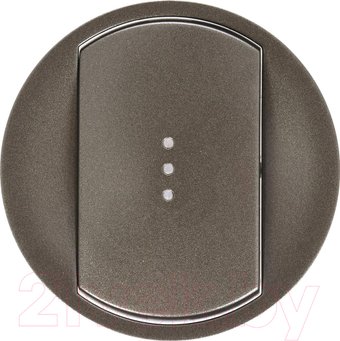 Панель выключателя Legrand Celiane 67903 (графитовый)