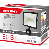 Уличный прожектор Rexant 605-009