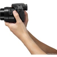Фотоаппарат Panasonic Lumix DMC-FZ300