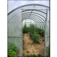 Теплица Велес 40x20/1, 12 м