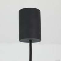 Подвесная люстра Favourite Kinescope 2452-1P