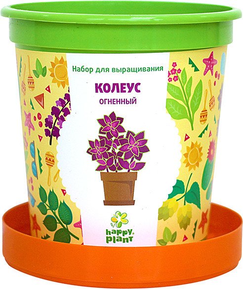 

Набор для опытов Happy plant Колеус огненный hpn-1