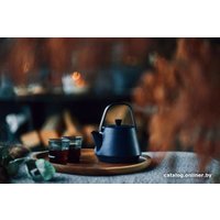 Заварочный чайник Beka Saga 16409374