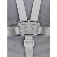 Высокий стульчик Rant Basic Mango RH304 (green)