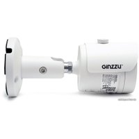 IP-камера Ginzzu HIB-5302A