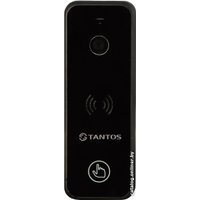 Вызывная панель Tantos iPanel 2+ (черный)