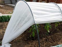 Теплицы и парники