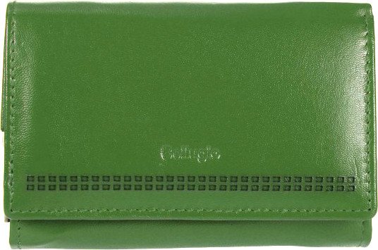 

Кошелек Bellugio AD-118R-068 (зеленый)