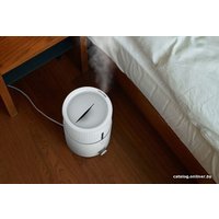 Увлажнитель воздуха Deerma Humidifier White DEM-SJS600 (с переходником на евровилку)