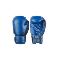 Перчатки для бокса Insane Odin IN22-BG200 (12oz, синий)