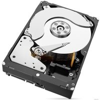 Жесткий диск Seagate Skyhawk 8TB [ST8000VX0022]