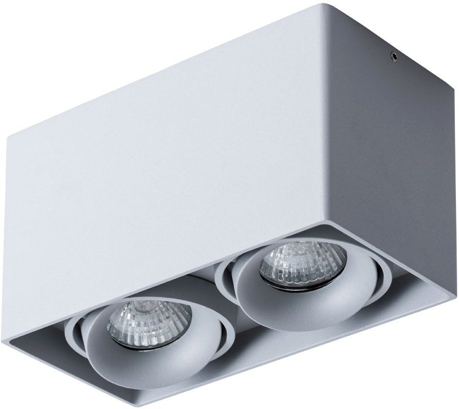 

Точечный светильник Arte Lamp Pictor A5654PL-2GY