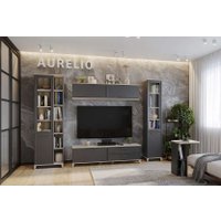 Шкаф распашной Глазов Aurelio 4 (антрацит/блеквуд сатиновый)