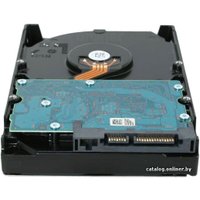 Жесткий диск Hitachi Deskstar 5K3000 (HDS5C3020ALA632)