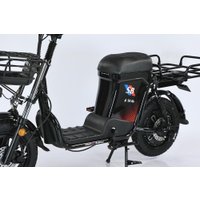 Электровелосипед Smart Balance Master Pro 50 Ah 2025 в Бресте