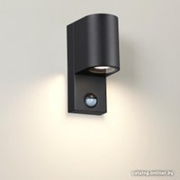 Уличный настенный светильник Odeon Light Motto 4390/1W