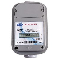 Счетчик газа БелОМО КАТА G4 B-3 в Солигорске