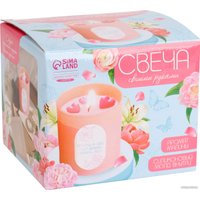 Набор для изготовления свечей Школа талантов С формовыми элементами 10092825