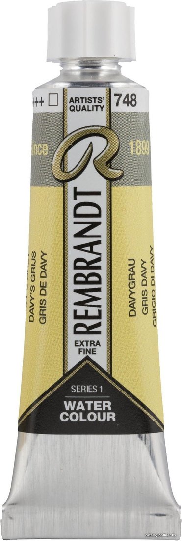 Акварельная краска Rembrandt 748 05017480 (серый дэви)