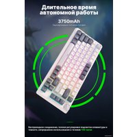 Клавиатура Royal Kludge RK-H81 RGB White Night (RK Cyan)