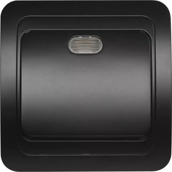 SmartBuy SBE-02b-10-SW1-1-c