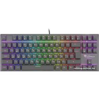 Клавиатура Genesis Thor 300 TKL RGB