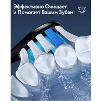 Электрическая зубная щетка Fairywill P11 (черный, 8 насадок)