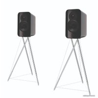 Полочная акустика Q Acoustics Concept 300 (черный/палисандр)