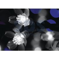 Световое дерево Neon-Night Сакура (диаметр кроны 300 см, белый) [531-235]