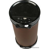 Беспроводная колонка Dialog AP-1000