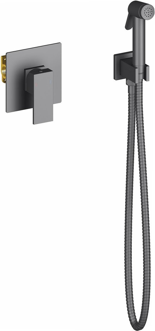 

Гигиенический душ Timo Selene 2089/03SM (черный)
