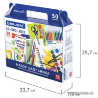 Набор школьника BRAUBERG Универсальный 880123