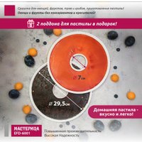 Сушилка для овощей и фруктов Мастерица EFD-6001