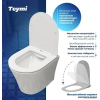 Унитаз подвесной Teymi Ellie T40802