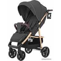 Коляска прогулочная «книга» Baby Tilly Eco T-166 (serious grey)