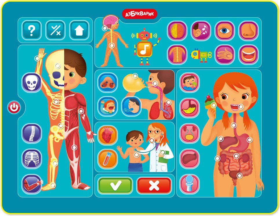 Развивающая игрушка Азбукварик Тело человека. Планшетик 3355