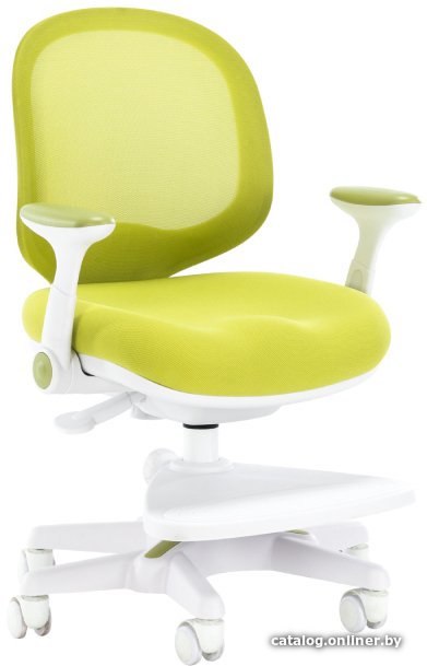 Детский ортопедический стул Everprof Kids 102 (зеленый)
