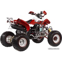 Квадроцикл IRBIS ATV 250S
