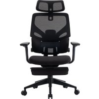 Офисное кресло Evolution LumbarPro FR (черный)