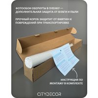 Фотообои Citydecor Universe 38 (200x140см) в Бресте