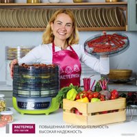 Сушилка для овощей и фруктов Мастерица EFD-1001VM (оливковый/серый)