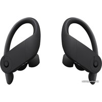 Наушники Beats Powerbeats Pro (черный) в Борисове