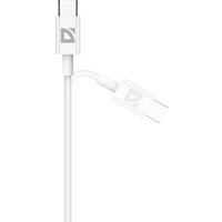 Кабель Defender F182 30 Вт USB Type-C - USB Type-C (2 м, белый)