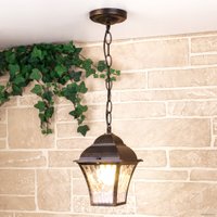 Уличный подвесной светильник Elektrostandard Apus H GL 1009H (черное золото)