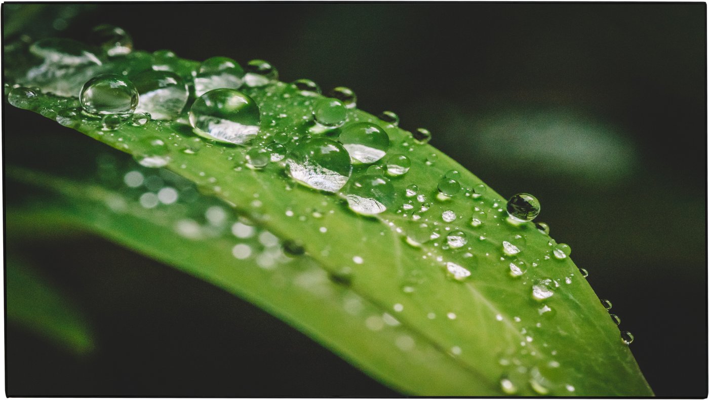 

Дисплей для видеостен Dahua LS550UEH-UG