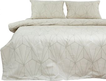 2-спальный комплект постельного белья с евро простыней Блакiт Кластер Евро 70х70 41261/0 637702/592641 К