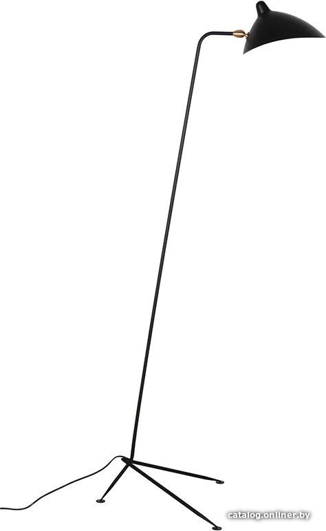 Торшер L'Arte Luce Spider L05641