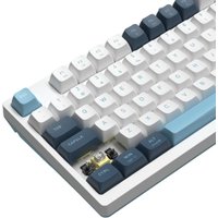 Клавиатура A4Tech Fstyler FS300 Panda Snowboarding