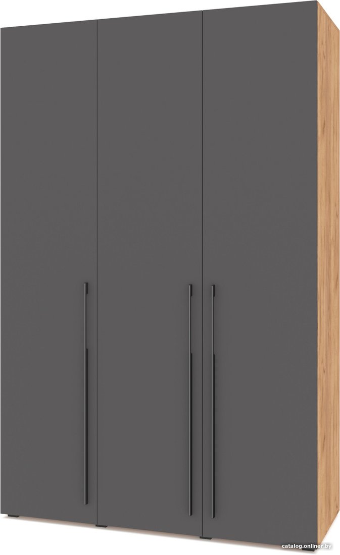 Шкаф распашной Modern Стоун С31 (золотой дуб/графит)