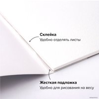 Альбом для рисования BRAUBERG Art Premiere 113223 (20 л)